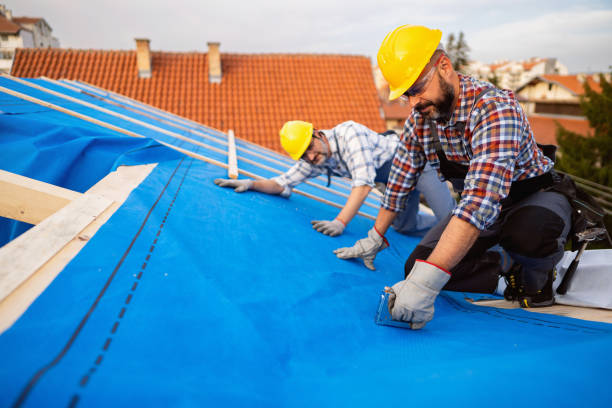 Professional Roofing in Milan, IL